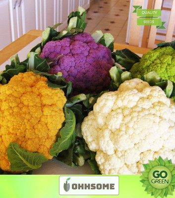 OhhSome Vegetable Seeds Non Hybrid Cauliflower (Mixed) Seeds - Cauliflower ​Seeds Home Garden Seeds Seed(20 per packet)