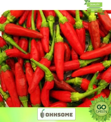 OhhSome Vegetable Seeds Rare Thai Chili Pepper Seeds - Bird Chilli -Red Seeds Heirloom Veg Seeds Terrace Gardening Home Garden Seeds Seed(20 per packet)