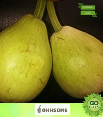 OhhSome Vegetable Seeds Round Melon Seeds - Bottle Gourd Bulb ​Seeds Seeds Organic Home Garden Seeds Seed(10 per packet)