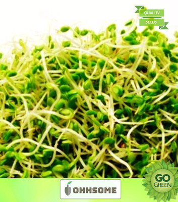 OhhSome Vegetable Seeds Cabbage - Pak Choi White Stem Seeds - Pak Choi Microgreens Seeds Home Garden Seeds Seed(20 per packet)