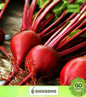 OhhSome Vegetable Seeds Spinach Beet Seeds - Beet Root ​Seeds Home Garden Seeds Seed(20 per packet)
