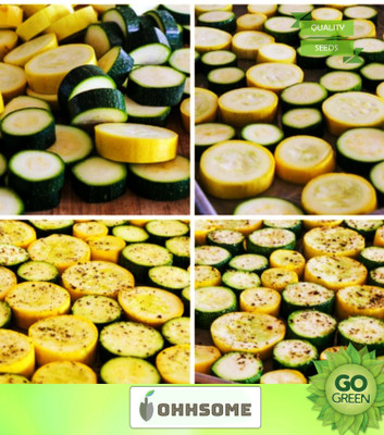 OhhSome Vegetable Seeds Open Pollinated Summer Squash - Chappan Kaddu Seeds - Summer Squash Seeds Seeds For Planting Home Garden Seeds Seed(20 per packet)