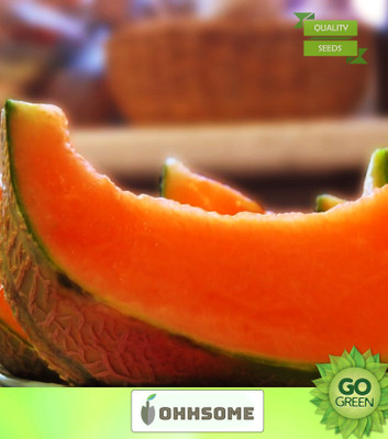 OhhSome Vegetable Seeds Musk Melon Seeds - Muskmelon Seeds Home Garden Seeds Seed(20 per packet)
