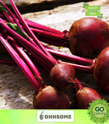 OhhSome Vegetable Seeds Beetroot Seeds - Beet Root ​Seeds Ruby Queen Variety Home Garden Seeds Seed(20 per packet)
