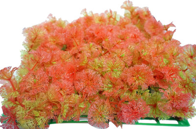 

ACCESSOREEZ Aquarium_plant_AP002 Aquarium Plant Anchor({Plant Anchors1)