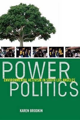 Power Politics(English, Electronic book text, Brodkin Karen)