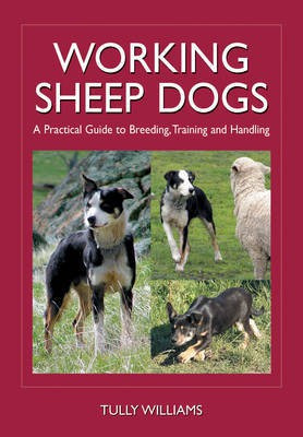 Working Sheep Dogs(English, Electronic book text, Williams Tully)