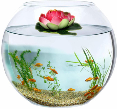 

JAINSONS PET PRODUCTS 8.4 L Fish Bowl