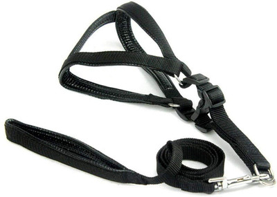 

Pet Needs Soft Padded Pet Harness and Leash Set for Dog (1.25 INCH) Dog & Cat Harness & Leash(, Black