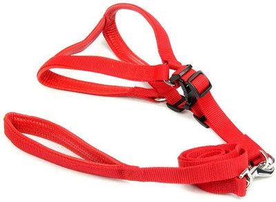 

Pet Needs Soft Padded Pet Harness and Leash Set for Small Puppy/Cat (0.5 INCH) Dog & Cat Harness & Leash(, Red