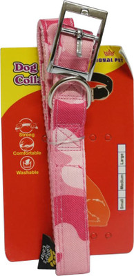 

SHOPTICO Dog Collar & Leash(, Multicolor