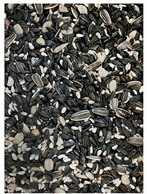 

JAINSONS PET PRODUCTS Sunflower and Safflower Mixed Seed Bird Food (1 KG) 1000 g Dry Bird Food