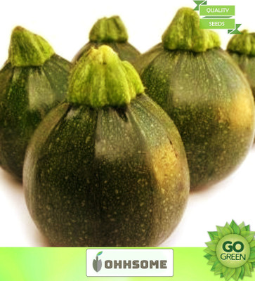 OhhSome Vegetable Seeds Summer Squash Seeds - Summer Squash Seeds Home Garden Seeds Seed(20 per packet)
