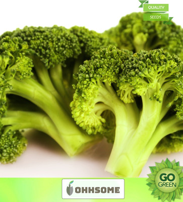 OhhSome Vegetable Seeds Broccoli Seeds For Sprouting Seeds - Broccoli ​Seeds Exotic Vegetables Seeds For Home Garden Seeds Seed(20 per packet)