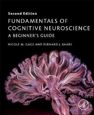 Fundamentals of Cognitive Neuroscience(English, Paperback, Gage Nicole M. PhD)