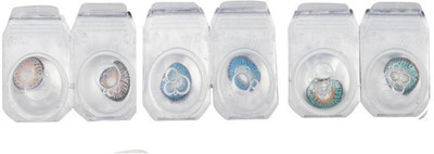

Optify Zero Power Combo Pack Of 3 Monthly Color Contact Lens (D.Grey-D.blue-Tarquise) Monthly Contact Lens(1, Grey-Blue-Green Turquoise, Pack of 3)