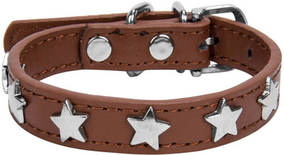 

CueCue Pet CueCue01021901 Dog Everyday Collar(, Brown Star