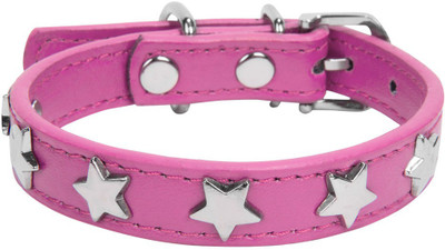 

CueCue Pet CueCue01021901 Dog Everyday Collar(, Magenta Star