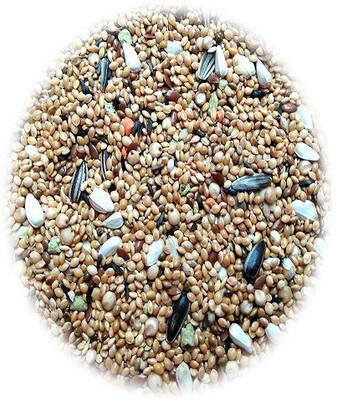 

JAINSONS PET PRODUCTS Kangni Sunflower and Safflower Mixed Seeds Bird Food (1600 GM) 1600 g Dry Bird Food