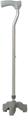 

Digionics Walking Sticks Walking Stick