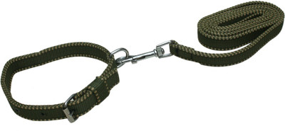 KLUG Dog Collar & Leash(, Green