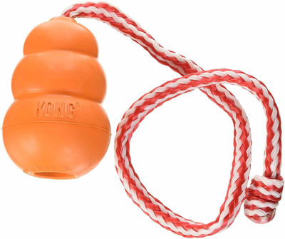 

KONG Large Aqua Dog Toy, Orange Plastic Squeaky Toy For Dog