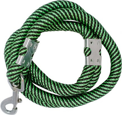 

CutePuppy CP28 Dog Leash(, Green/Black