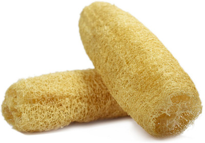 

SG Fashions Loofah(Pack of 3), White