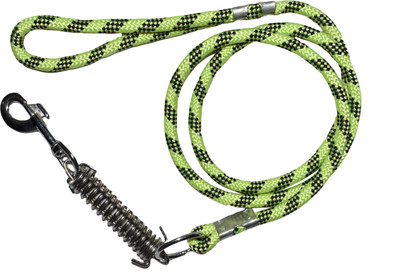 

Ezellohub Dog Leash(, Green
