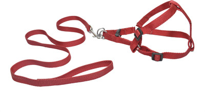 

Ezellohub Dog Harness & Leash(, Red