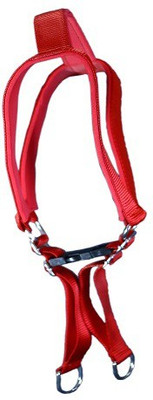 

dogsbuzz high quality 1.25 inch width size nylon leash with harness padded RED Dog Harness & Leash(, red