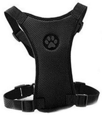 

Aqua Dog Harness & Leash(, black