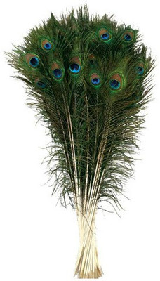 CRAFTWAFT Pack of 50 Decorative Feathers(10-12 INCH Peacock Feather)