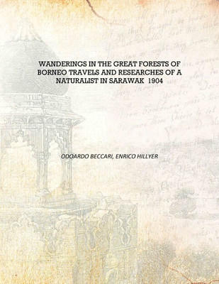 Wanderings in the great forests of Borneo travels and researches of a naturalist in Sarawak 1904 [Hardcover](English, Hardcover, Odoardo Beccari, Enrico Hillyer)