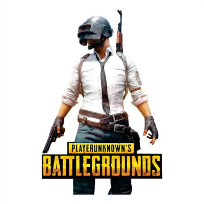 AH Decals 40 cm PUBG PLAYER UNKNOWN'S BATTLEGRAOUNDS Removable Sticker(Pack of 1)