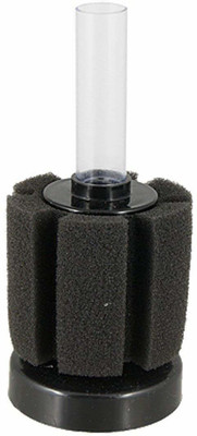 

Aquapetzworld Aquapetzworld Aquarium Sponge Filter Sponge Aquarium Filter(Biological Filtration for Salt Water and Fresh Water)