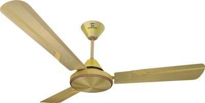 

Standard ROBUSTA 3 Blade Ceiling Fan(Antique Gold Brushed Nickle, Pack of 1)