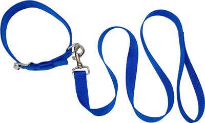 

cutepuppy Dog Collar & Leash(, BLUE