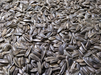 

ALFAMAX Sunflower seeds for birds, Love birds, Budgies , Finches , Cocktails, Nuts 1 kg Dry Birds Food Nuts 1 kg Dry Bird Food