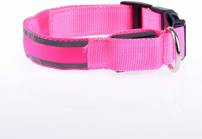 

four legs Night safety collar Dog Show Collar(, Pink