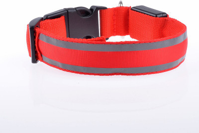 

four legs Night safety collar Dog Show Collar(, Red