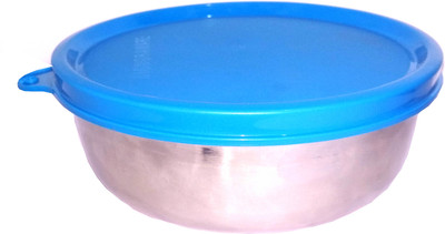 Signoraware Steel Utility Container  - 380 ml(Blue)