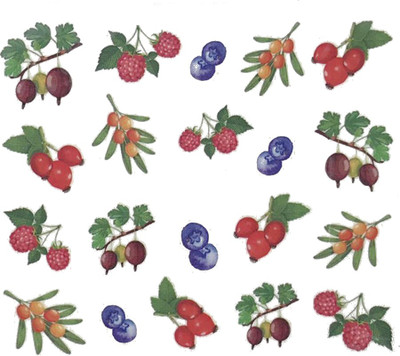 

SENECIO® Juicy Berries Fruits Nail Art Manicure Decals Water Transfer Stickers 1 Sheet Size :6.2*5.2cm(Multicolor)