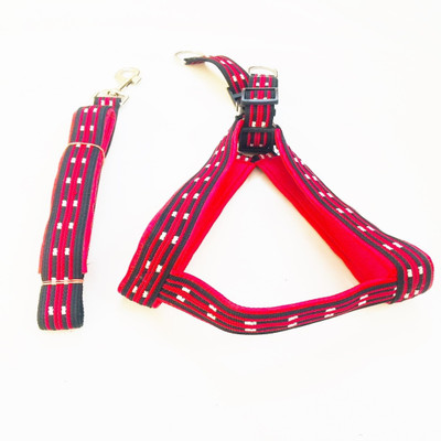 

Petsnhuman Full Body Belt Size- Large 1Inch Belt Dog Harness & Leash(, Multicolor