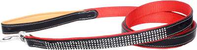 

PETSTAR Dog Everyday Collar(, Red