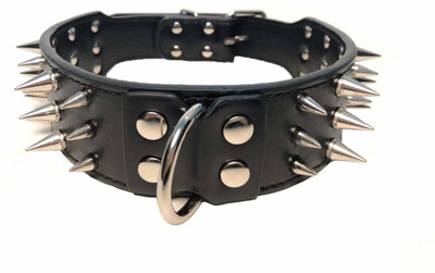 

Futurekart 58 cm Dog Martingale Leash(Black)