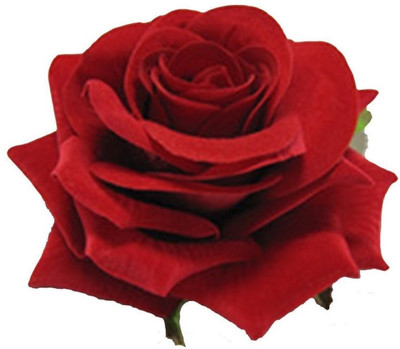 

S R Enterprises red fabric rose flower hair clips [pack of 1 pcs ] Hair Clip(Red)
