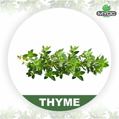 

salvia Thyme Oil And Vitamin E Soap For bad odour, acne free and athletes foot 75g x3 Pack(75 g, Pack of 3)