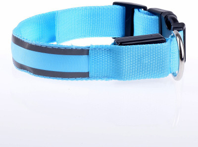 

four legs Night safety collar Dog Show Collar(, sky blue