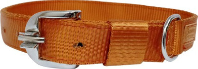 

cutepuppy CP38 Dog Everyday Collar(, GOLDEN BROWN